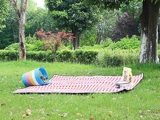 亚马逊新品主图拍摄设计：合规框架下的视觉表现力构建方案