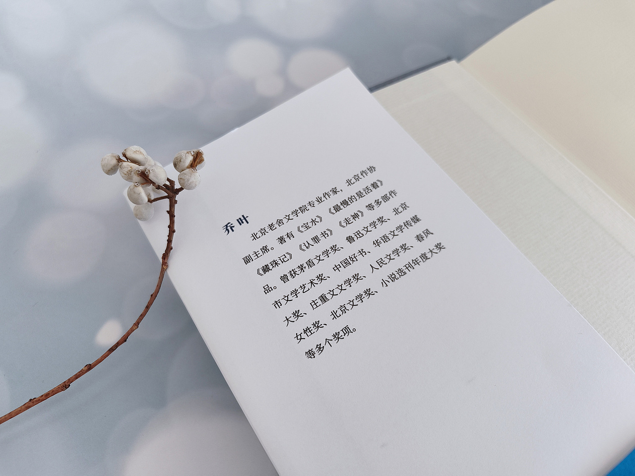 书籍设计｜《藏珠记》（图ZNDAxNDI3NTY0） - 书籍/画册 - 站酷设计师喵咕噜123原创素材 - 站酷ZCOOL