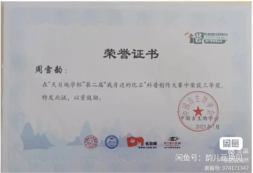 进化树海螺（图ZNDAxNDMyODA4） - 艺术插画 - 站酷设计师韵致嫣然原创素材 - 站酷ZCOOL