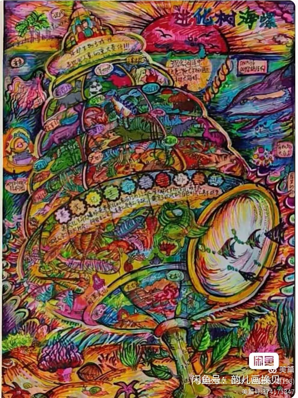 进化树海螺（图ZNDAxNDMyODAw） - 艺术插画 - 站酷设计师韵致嫣然原创素材 - 站酷ZCOOL