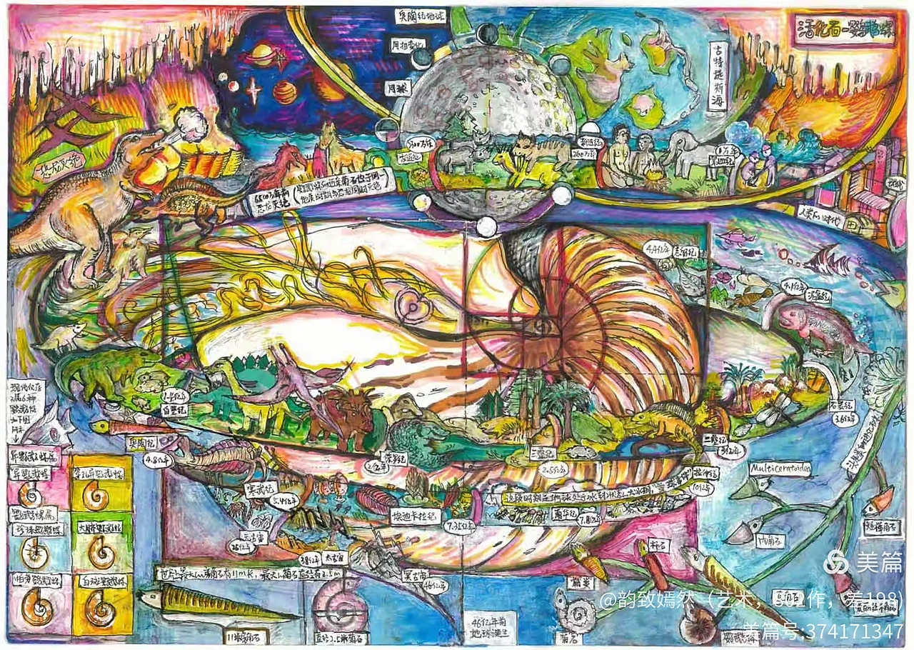 鹦鹉螺——活化石（图ZNDAxNDMzNDg0） - 艺术插画 - 站酷设计师韵致嫣然原创素材 - 站酷ZCOOL