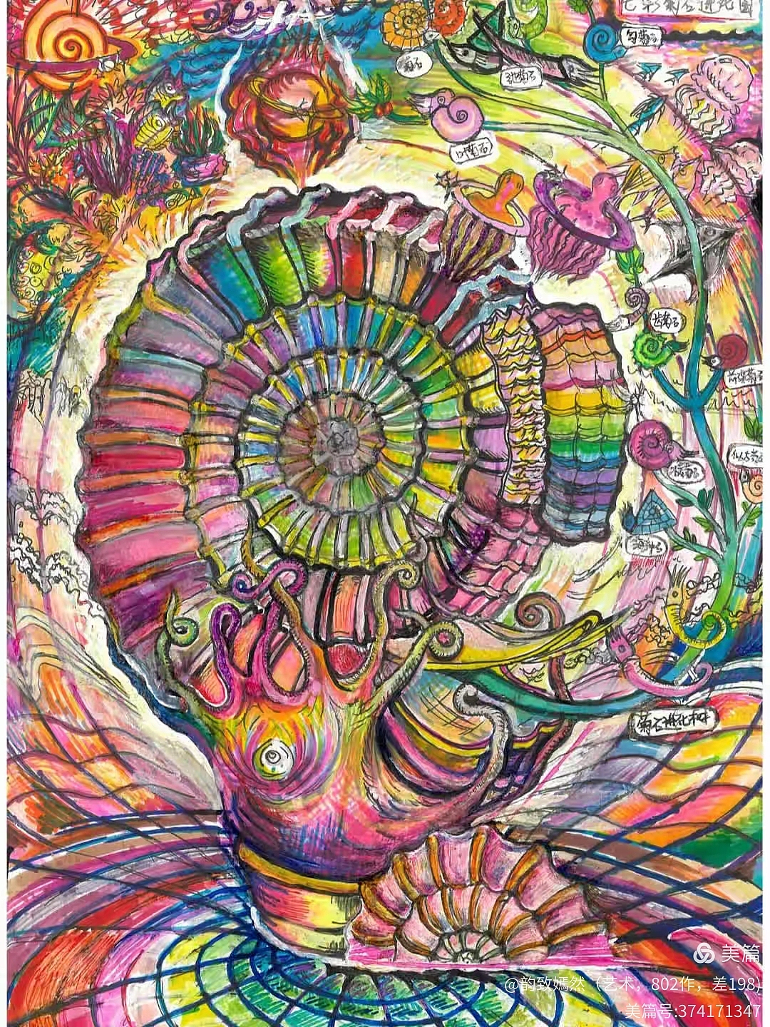 七彩菊石家族（图ZNDAxNDMzODg4） - 海报 - 站酷设计师韵致嫣然原创素材 - 站酷ZCOOL