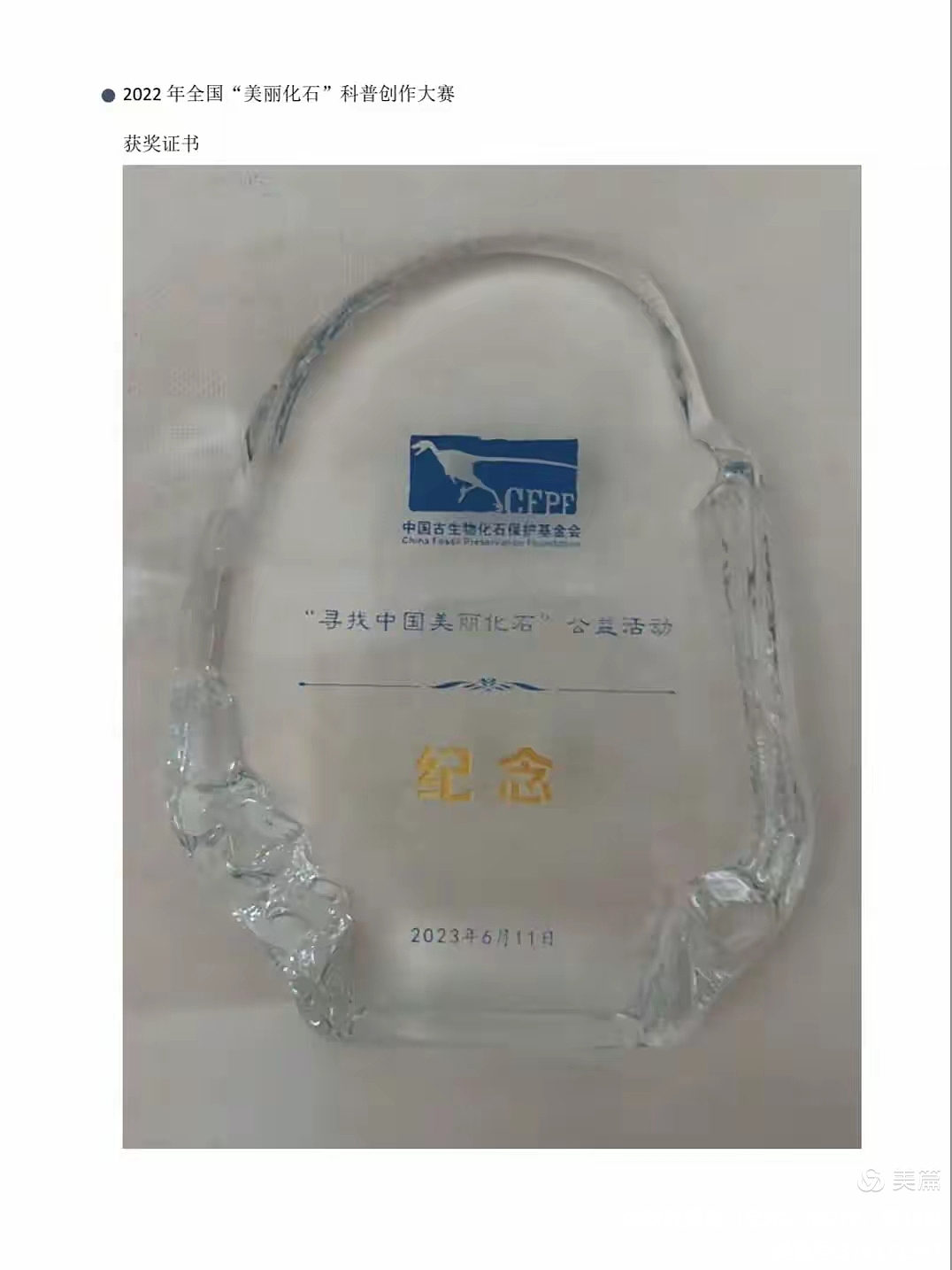 七彩菊石家族（图ZNDAxNDMzODky） - 海报 - 站酷设计师韵致嫣然原创素材 - 站酷ZCOOL