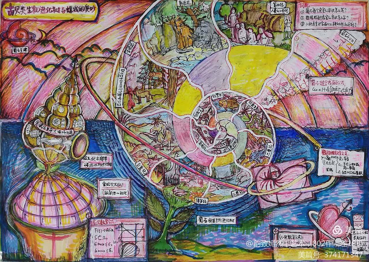 古生物进化树与螺线的奥妙（图ZNDAxNDM0MjMy） - 商业插画 - 站酷设计师韵致嫣然原创素材 - 站酷ZCOOL