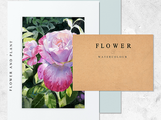 最近的花卉合集