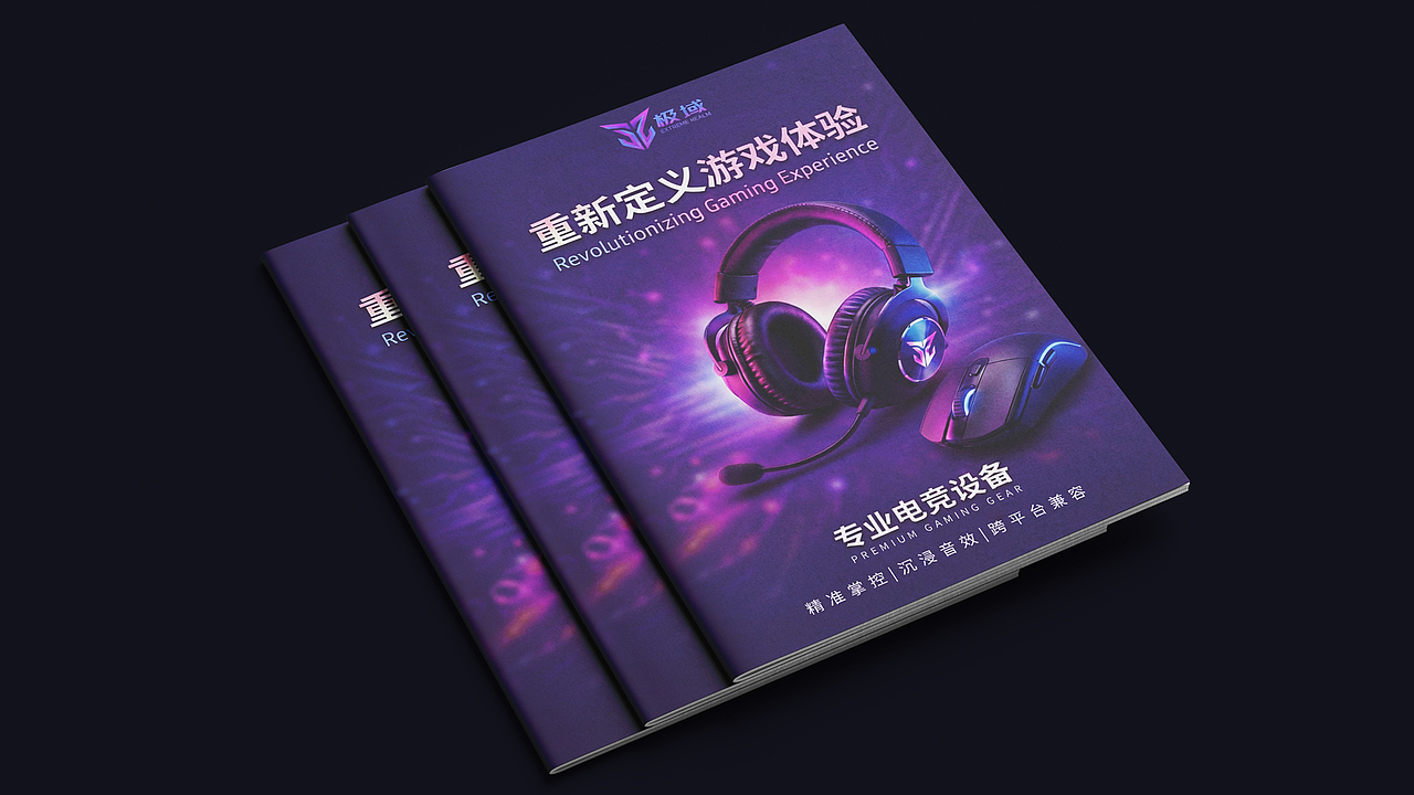 极域 EXTREME REALM | 电竞品牌设计提案（图ZNDAxNDQ1Nzg4） - 品牌 - 站酷设计师笑出法令纹原创素材 - 站酷ZCOOL