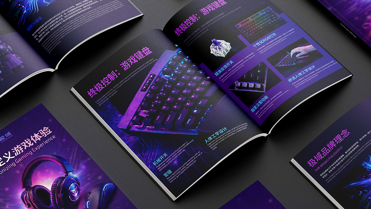 极域 EXTREME REALM | 电竞品牌设计提案（图ZNDAxNDQ1ODAw） - 品牌 - 站酷设计师笑出法令纹原创素材 - 站酷ZCOOL