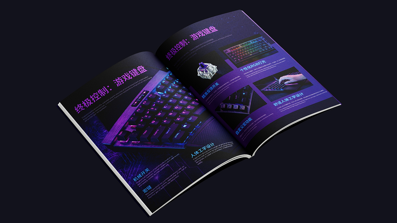 极域 EXTREME REALM | 电竞品牌设计提案（图ZNDAxNDQ1Nzk2） - 品牌 - 站酷设计师笑出法令纹原创素材 - 站酷ZCOOL