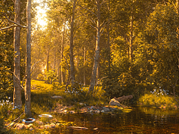 《金辉漫林涧》