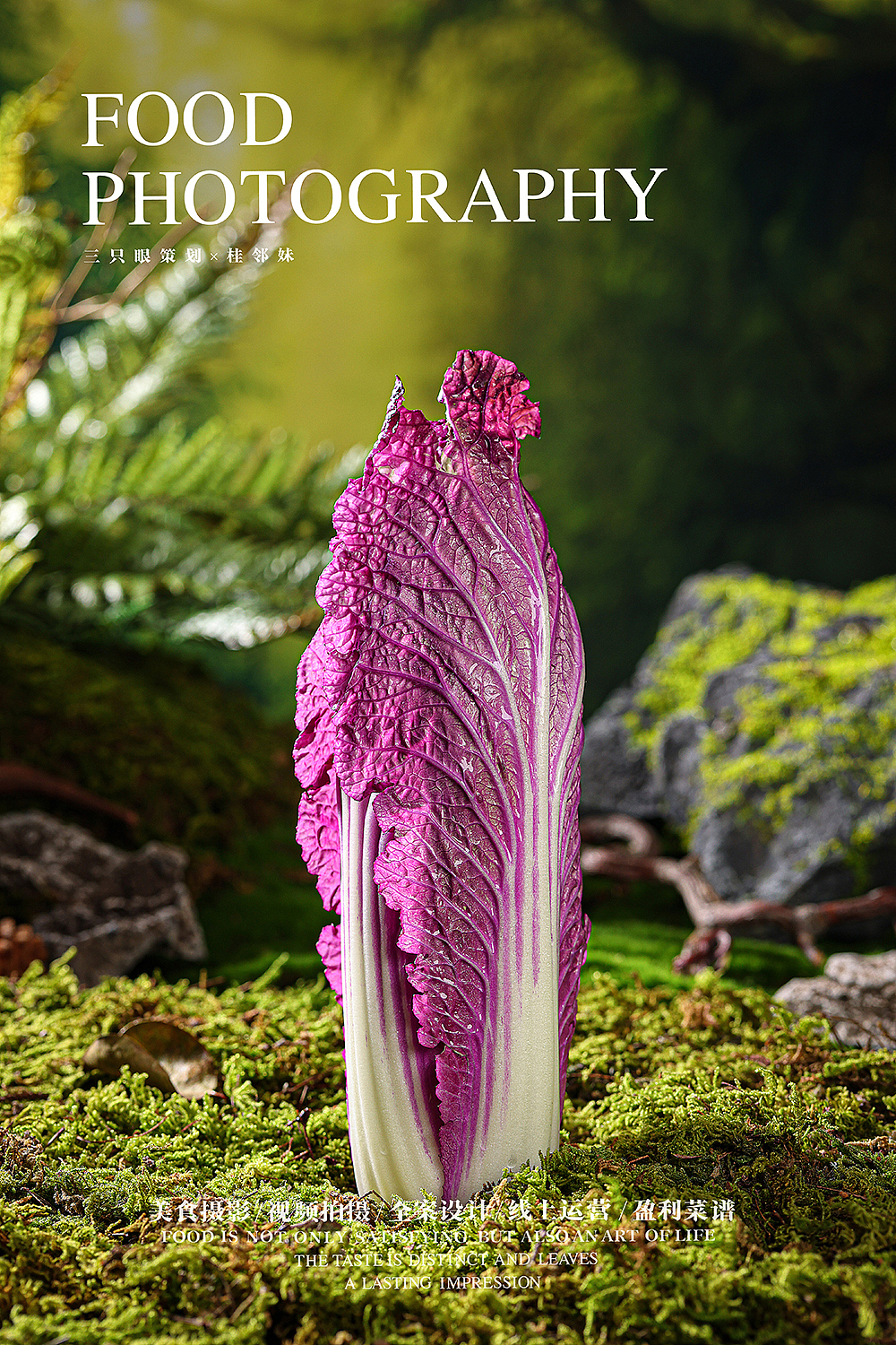 美食拍摄 | 山野风原生态食材拍摄（图ZNDAxNDYyMjgw） - 美食摄影 - 站酷设计师三只眼餐饮策划原创素材 - 站酷ZCOOL