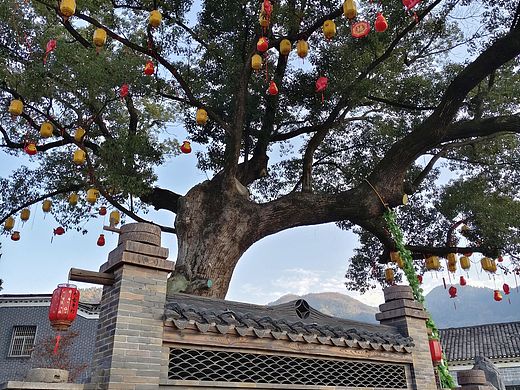 九古奇村，诗画上冯，邂逅千年时光！