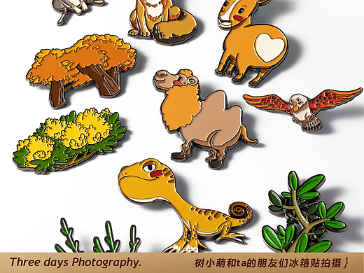 文创摄影 | 冰箱贴白底拍摄 | 植树公益