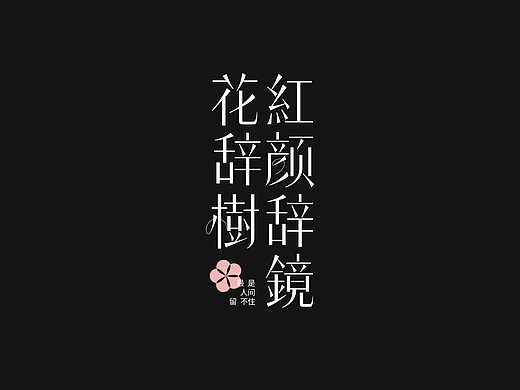 字设丨2025.12NEW新的开始