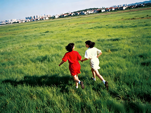 导演作品| 当她们抱着铃兰走向大海 | 女性反暴力短片