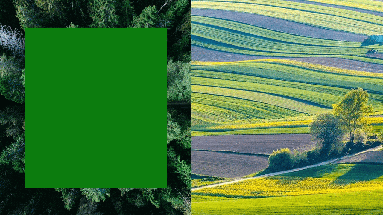 省狮原创 | OPE能源设备品牌NEGEX全案塑造（图ZNDAxNTEwMzY0） - 品牌 - 站酷设计师lionpro省狮品牌原创素材 - 站酷ZCOOL