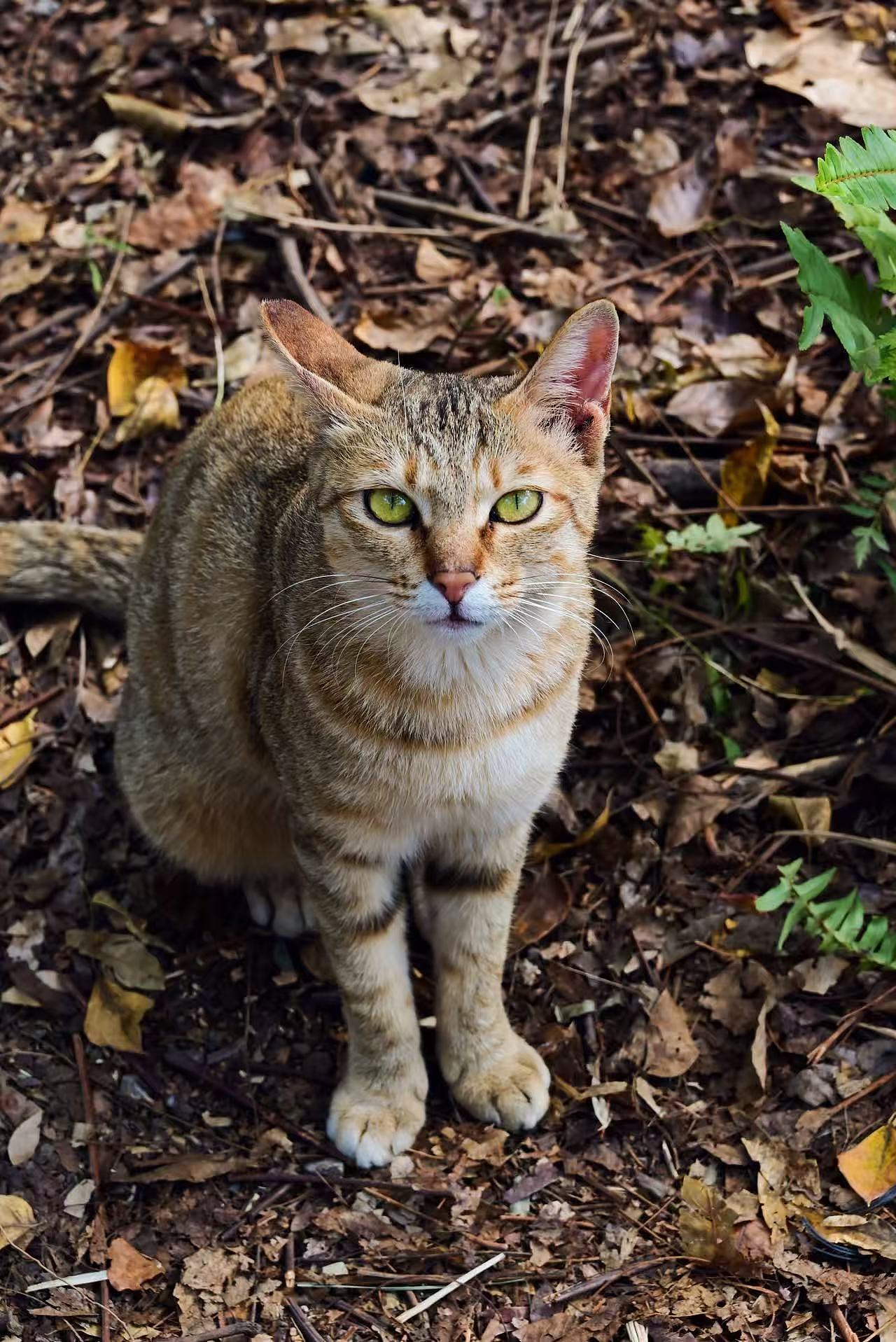 平淡生活在一个阳光明媚的冬天（图ZNDAxNTM3MzY0） - 风光摄影 - 站酷设计师Onlybluegreen原创素材 - 站酷ZCOOL