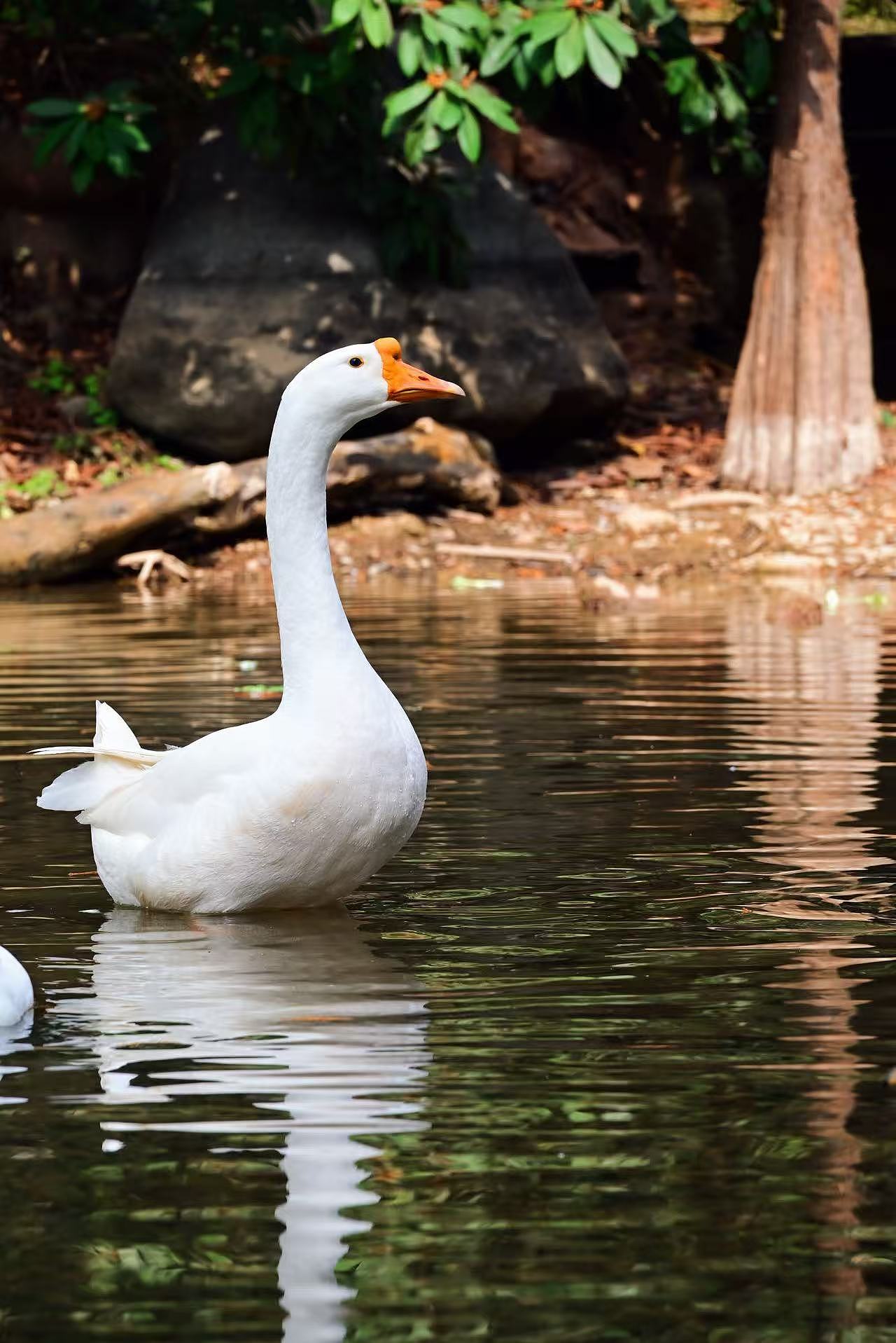平淡生活在一个阳光明媚的冬天（图ZNDAxNTM3NDYw） - 风光摄影 - 站酷设计师Onlybluegreen原创素材 - 站酷ZCOOL