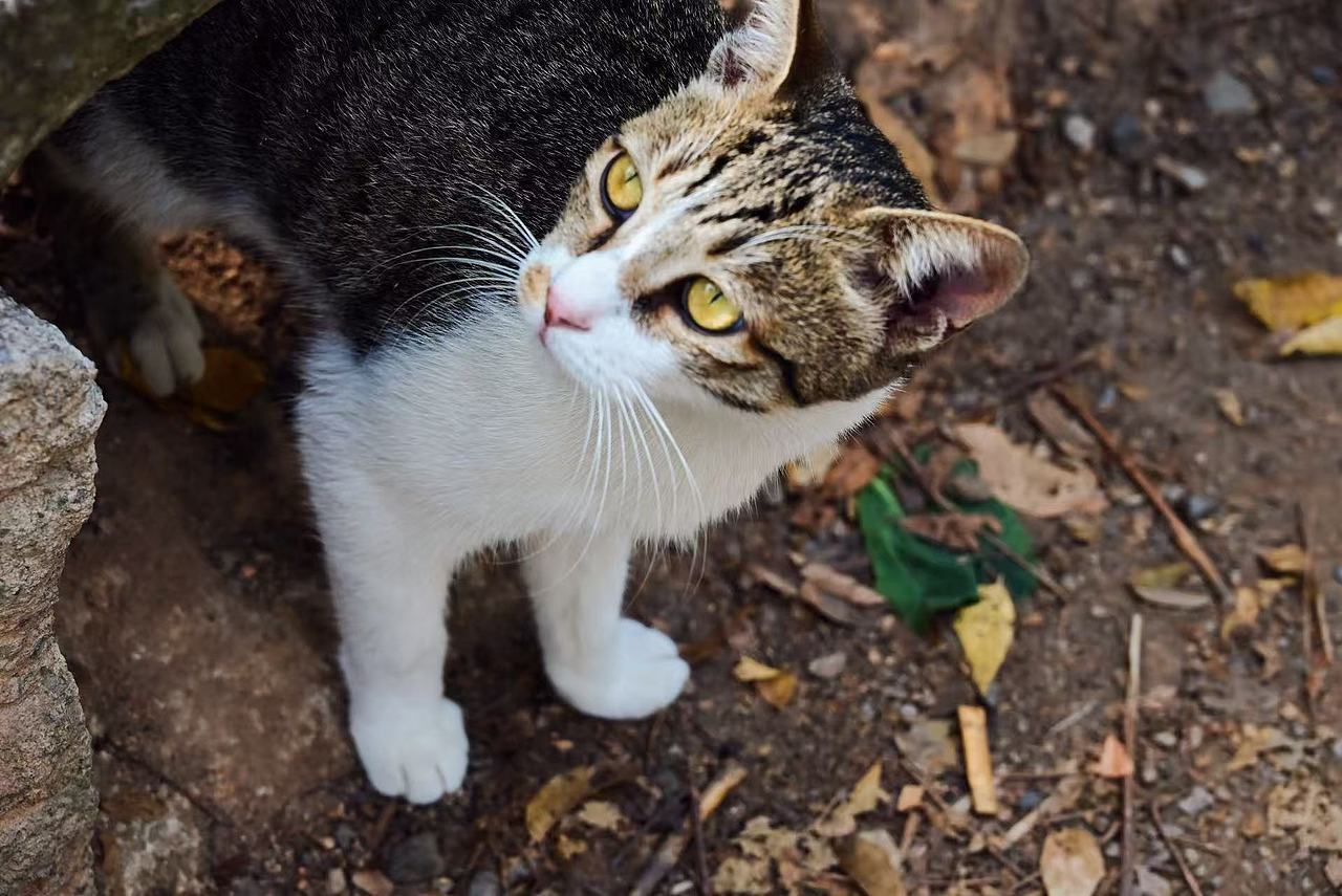 平淡生活在一个阳光明媚的冬天（图ZNDAxNTM3NDY4） - 风光摄影 - 站酷设计师Onlybluegreen原创素材 - 站酷ZCOOL