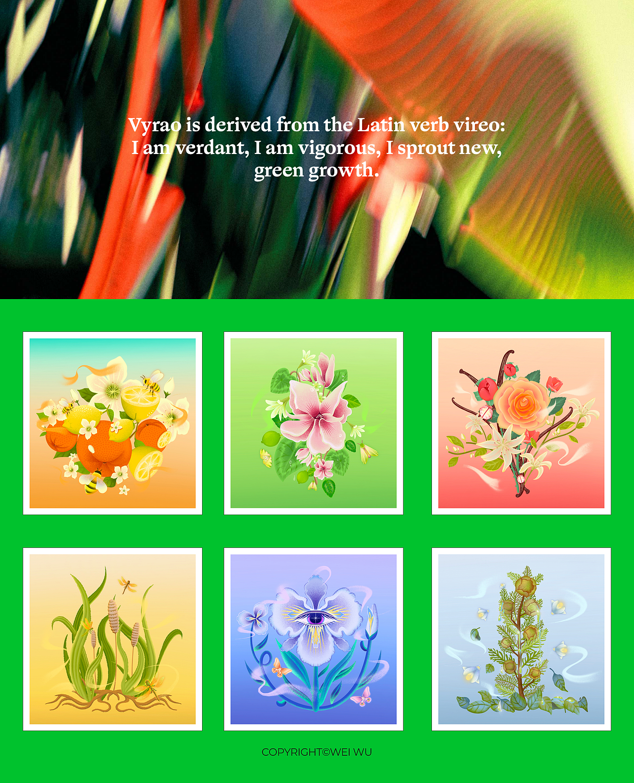 品牌插畫｜把香味和情緒畫成插畫??（圖ZNDAxNTQ3Mjc2） - 商業(yè)插畫 - 站酷設(shè)計(jì)師薇生物_原創(chuàng)素材 - 站酷ZCOOL