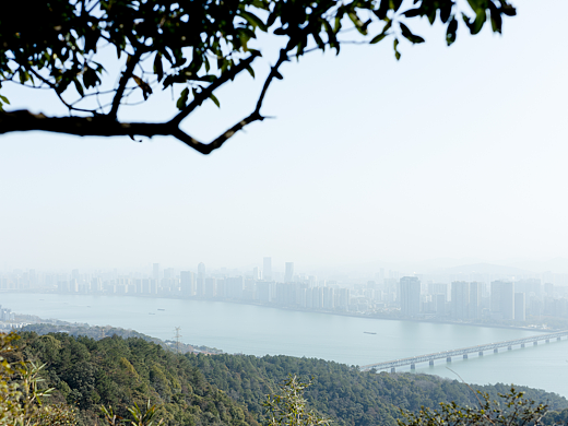 从六和塔到虎跑