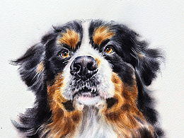 水彩狗狗