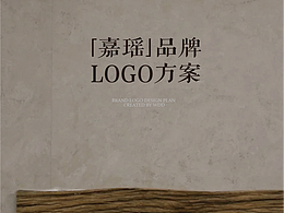 WDDx嘉瑶丨瓷器品牌升级方案