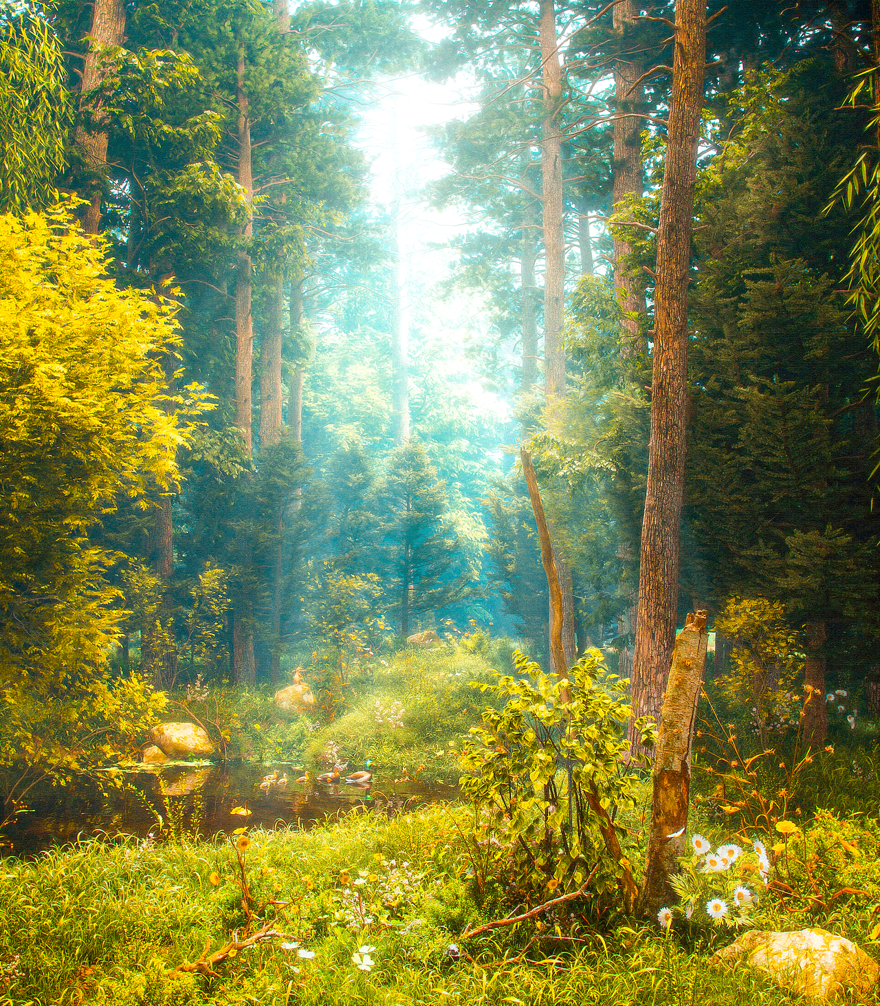 《林涧晨光》（图ZNDAxNTkxMjI4） - 场景 - 站酷设计师芋泥波波abc原创素材 - 站酷ZCOOL