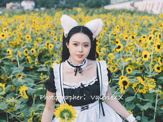 被一整片向日葵包围的瞬间，真的很难不按下快门📷~