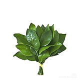予初呀0100的头像