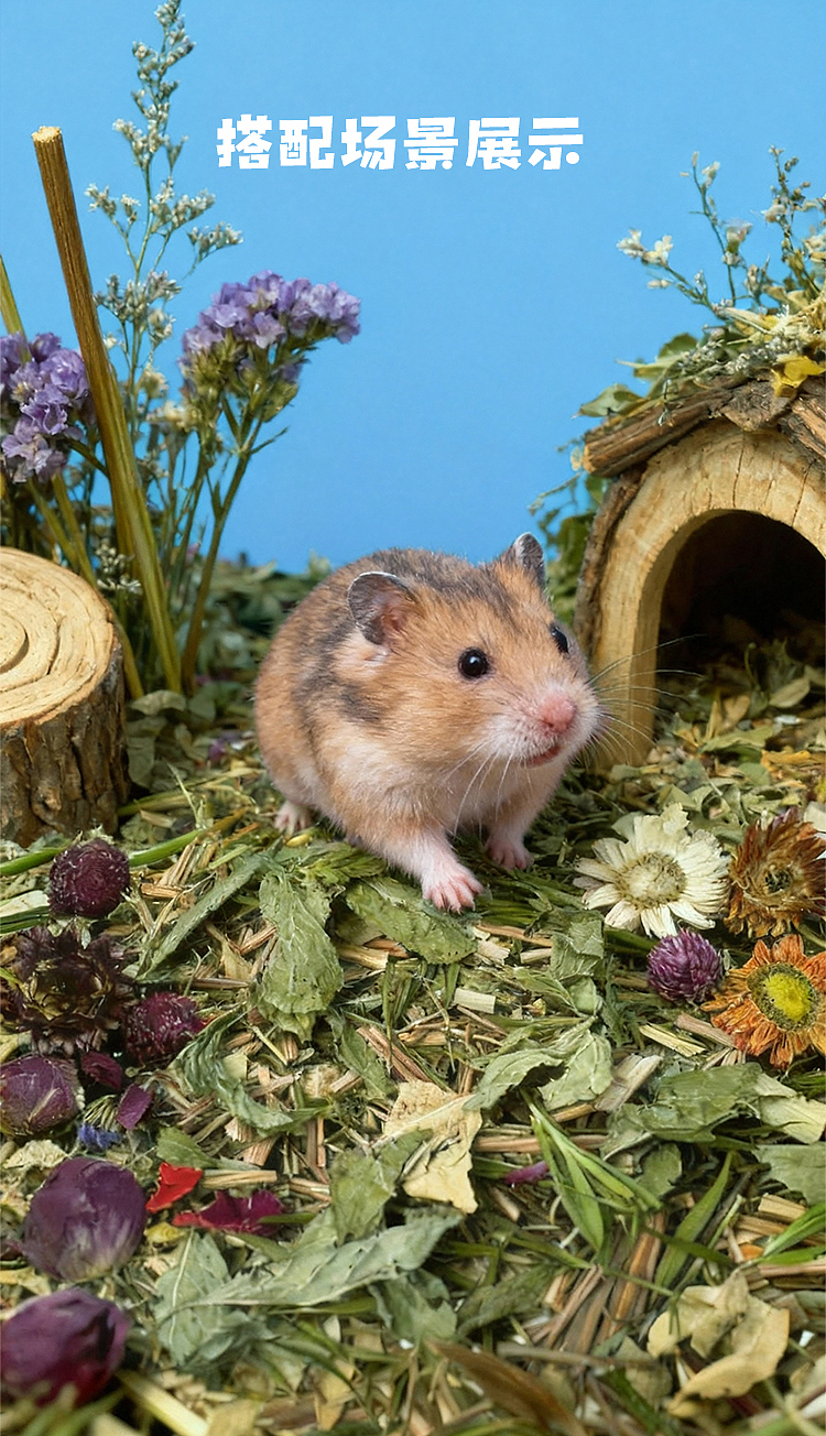 宠物行业-花草垫料-详情页（图ZNDAxNjM0MTc2） - 电商 - 站酷设计师挚墨原创素材 - 站酷ZCOOL