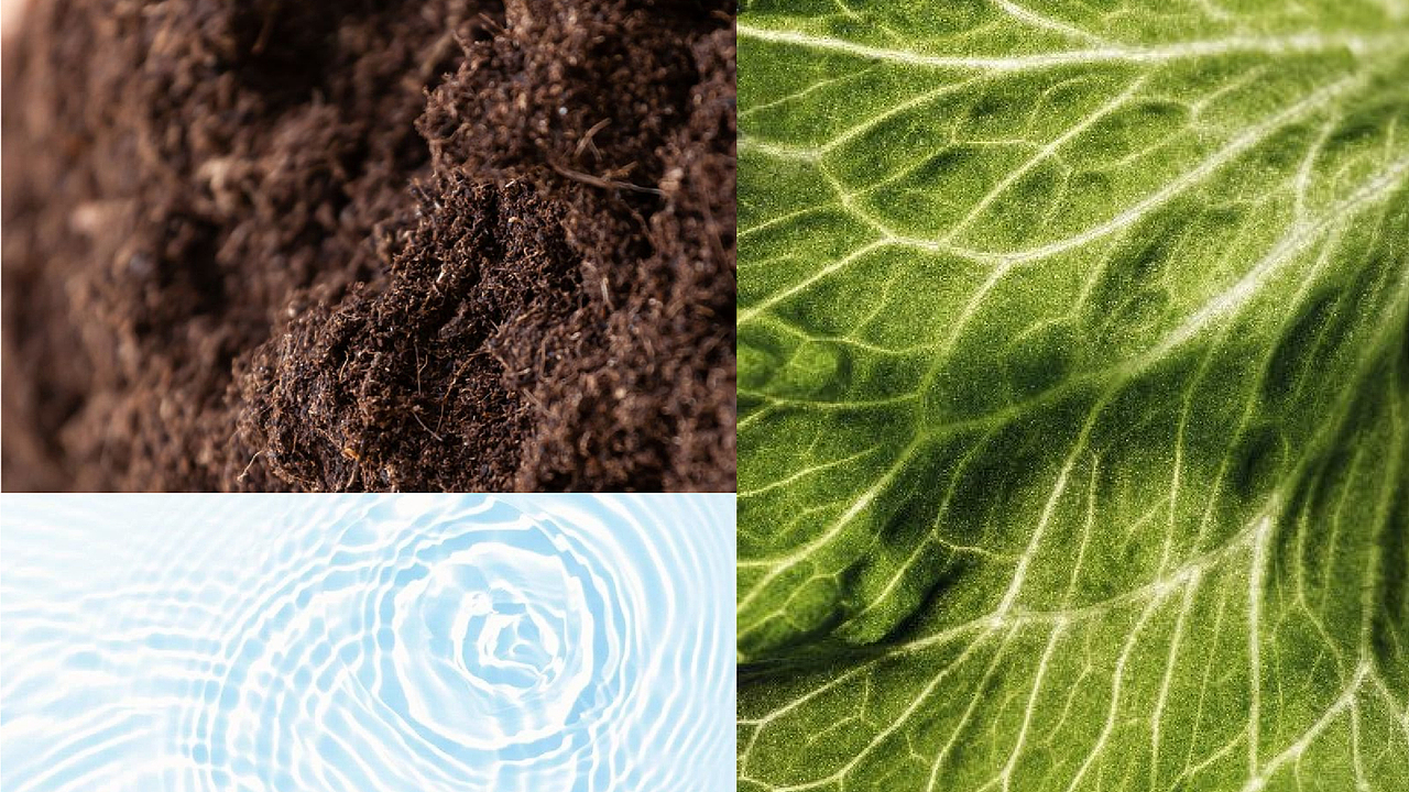 宝宝辅食餐厅品牌设计（图ZNDAxNjUyNjI0） - 品牌 - 站酷设计师西北小汉原创素材 - 站酷ZCOOL