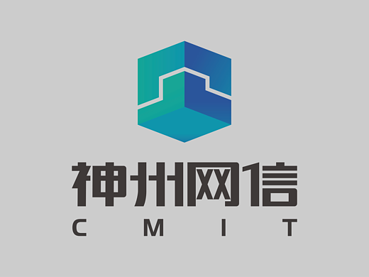神州网信|品牌、Logo设计