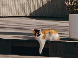 东郊记忆  西安