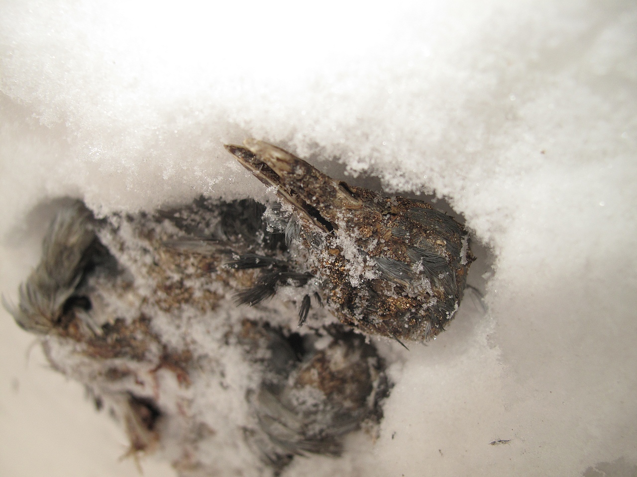 世事无常（图ZNDAxNzE5MDU2） - 人文/纪实摄影 - 站酷设计师肆加肆原创素材 - 站酷ZCOOL