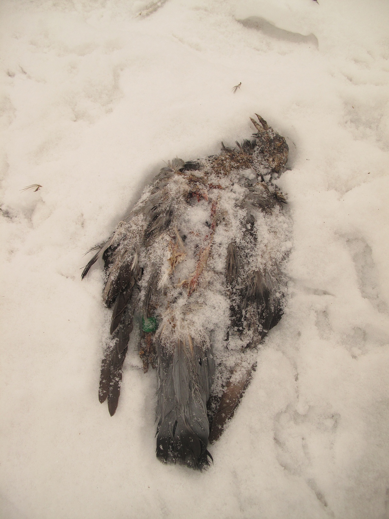 世事无常（图ZNDAxNzE5MDQ0） - 人文/纪实摄影 - 站酷设计师肆加肆原创素材 - 站酷ZCOOL