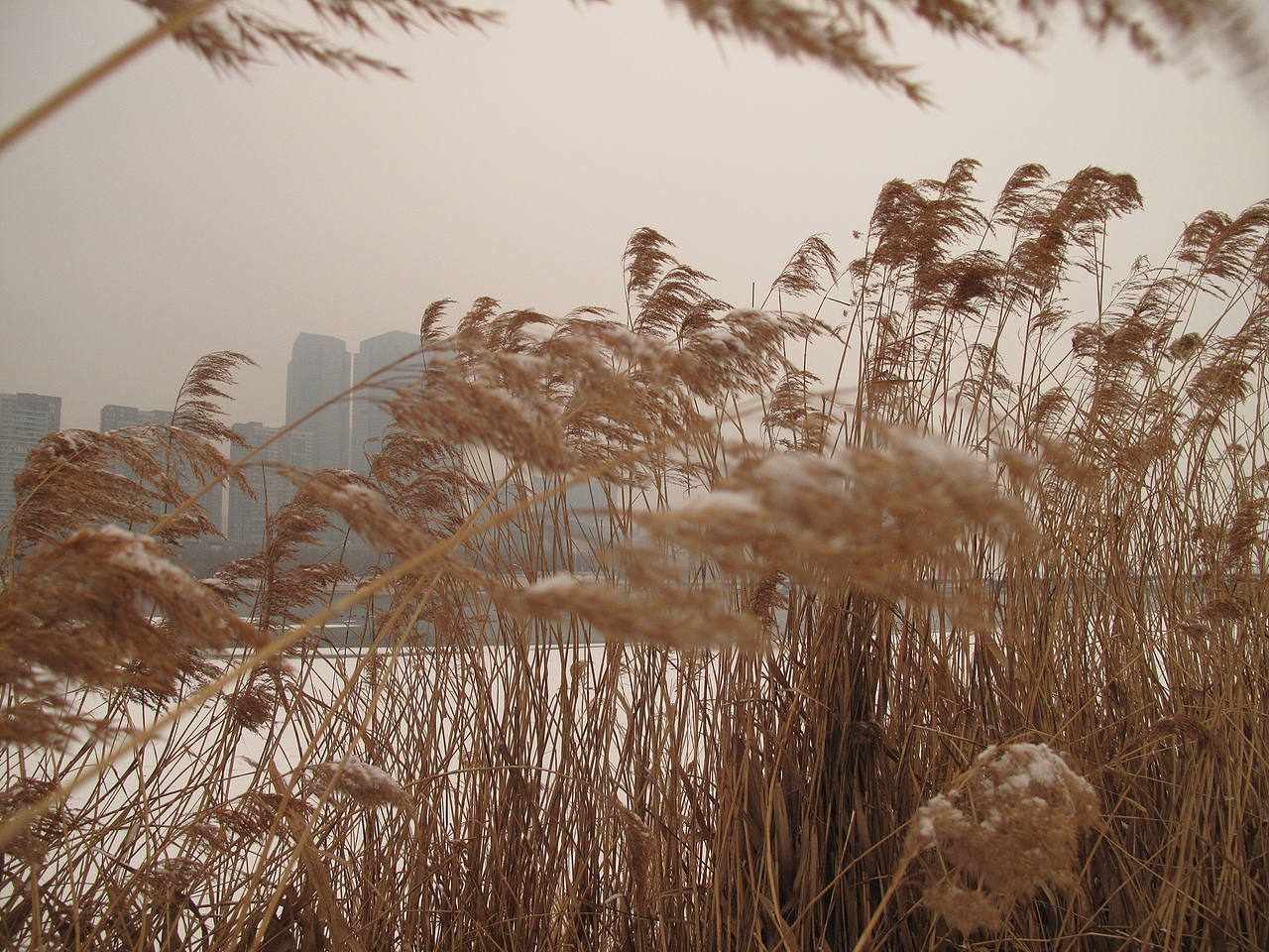 世事无常（图ZNDAxNzE5MDY0） - 人文/纪实摄影 - 站酷设计师肆加肆原创素材 - 站酷ZCOOL