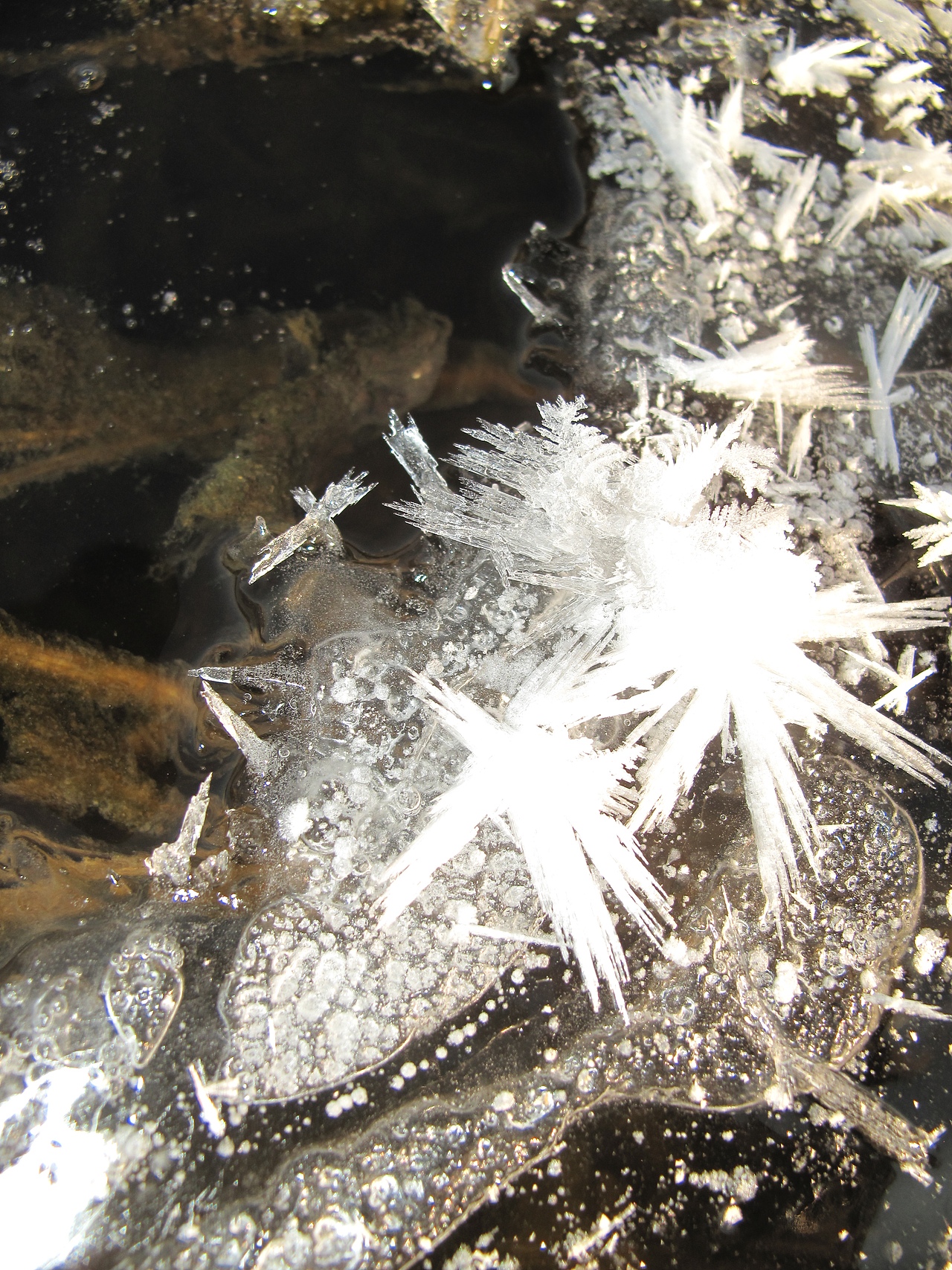 冰天雪地（图ZNDAxNzE5MTE2） - 风光摄影 - 站酷设计师肆加肆原创素材 - 站酷ZCOOL