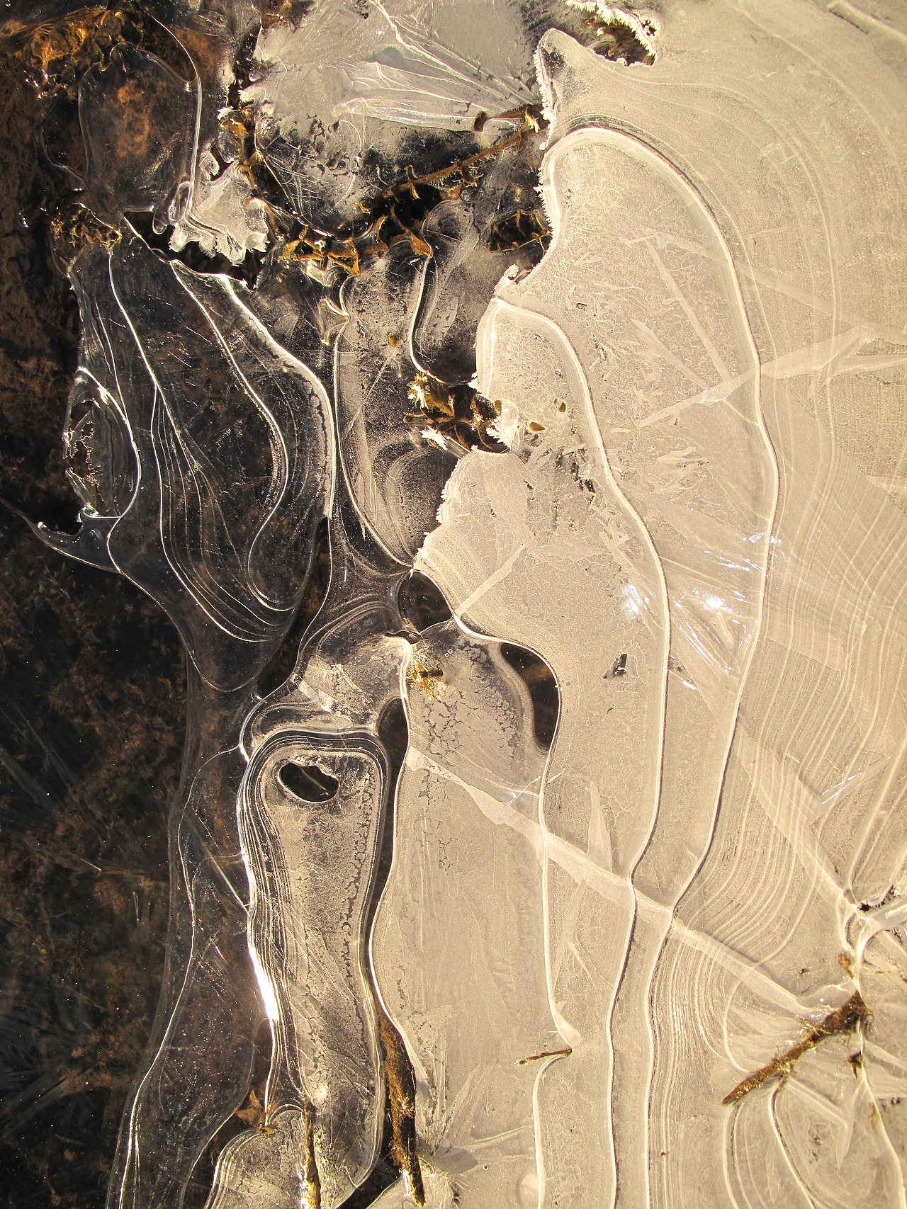 雪地冰天（图ZNDAxNzE5MTQ0） - 风光摄影 - 站酷设计师肆加肆原创素材 - 站酷ZCOOL