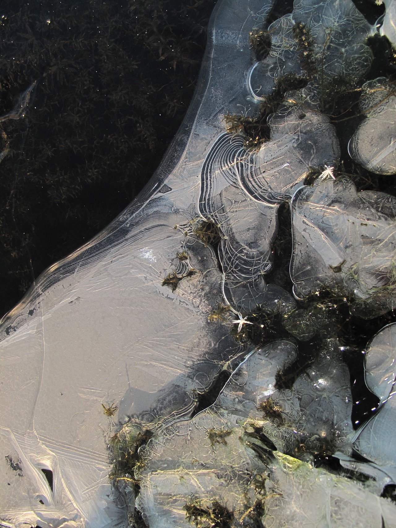 雪地冰天（图ZNDAxNzE5MTQw） - 风光摄影 - 站酷设计师肆加肆原创素材 - 站酷ZCOOL