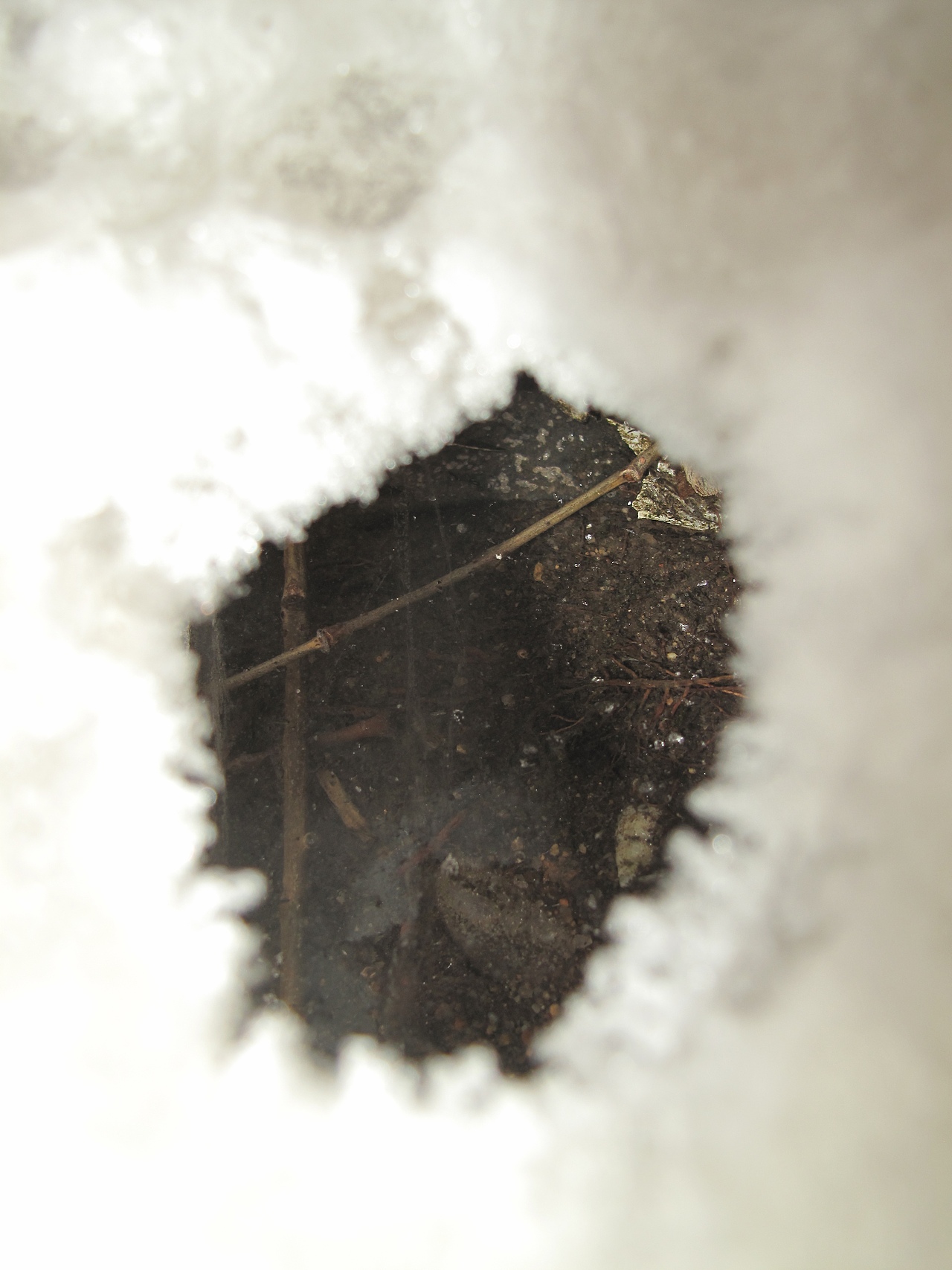 冰封翘嘴（图ZNDAxNzE5MjA4） - 风光摄影 - 站酷设计师肆加肆原创素材 - 站酷ZCOOL