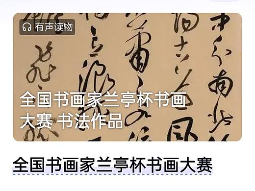 央视特邀吴门八雅书画院龚韵淘参加采访活动国内公众评