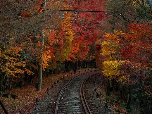 五彩缤纷的时节🍁 ​