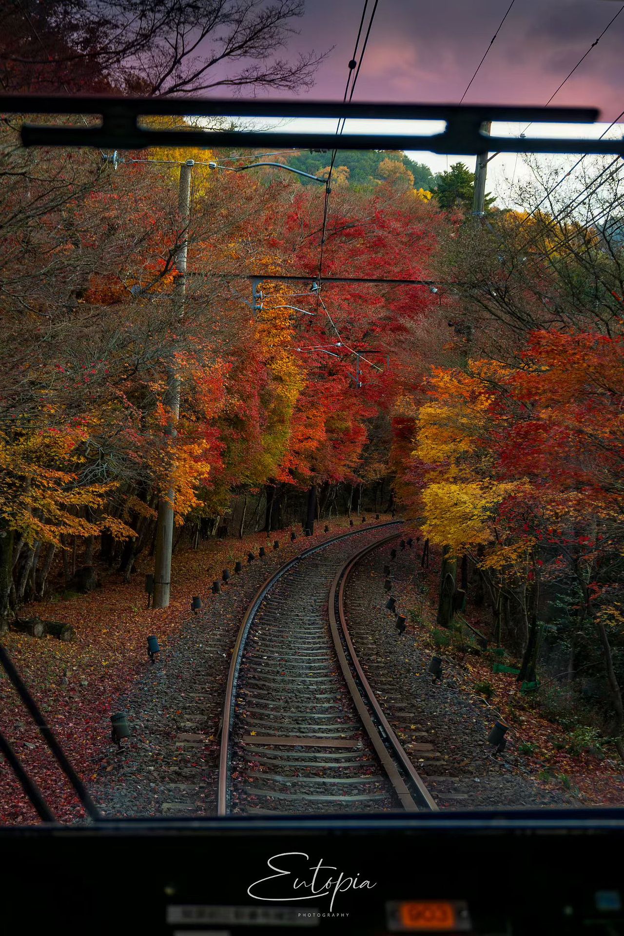 五彩缤纷的时节🍁 ​（图ZNDAxNzQ2ODAw） - 人文/纪实摄影 - 站酷设计师Z993551215原创素材 - 站酷ZCOOL