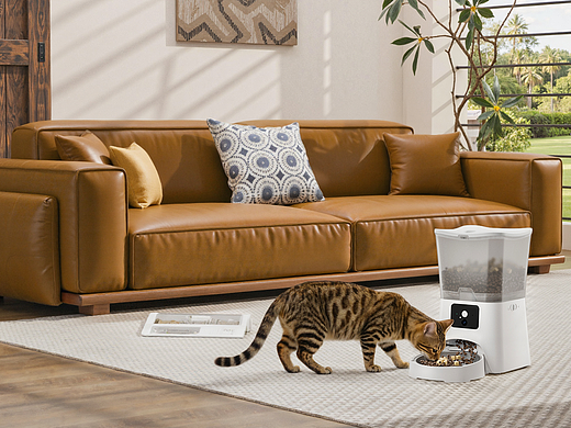 2025工作部分节选