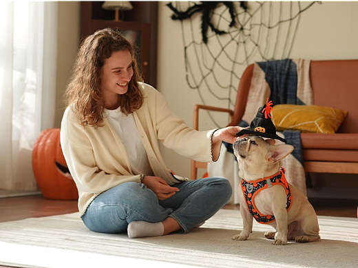 亚马逊宠物胸背视频｜宠物产品视频丨宠物产品摄影