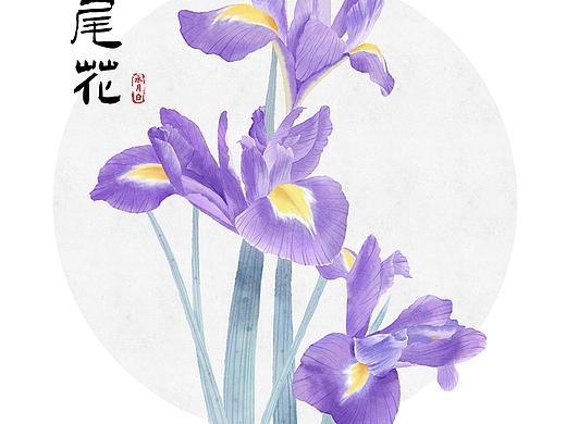 花朵插画