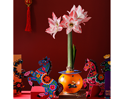 南京摄影｜花卉拍摄｜非遗产品文创花卉植物鲜花新年