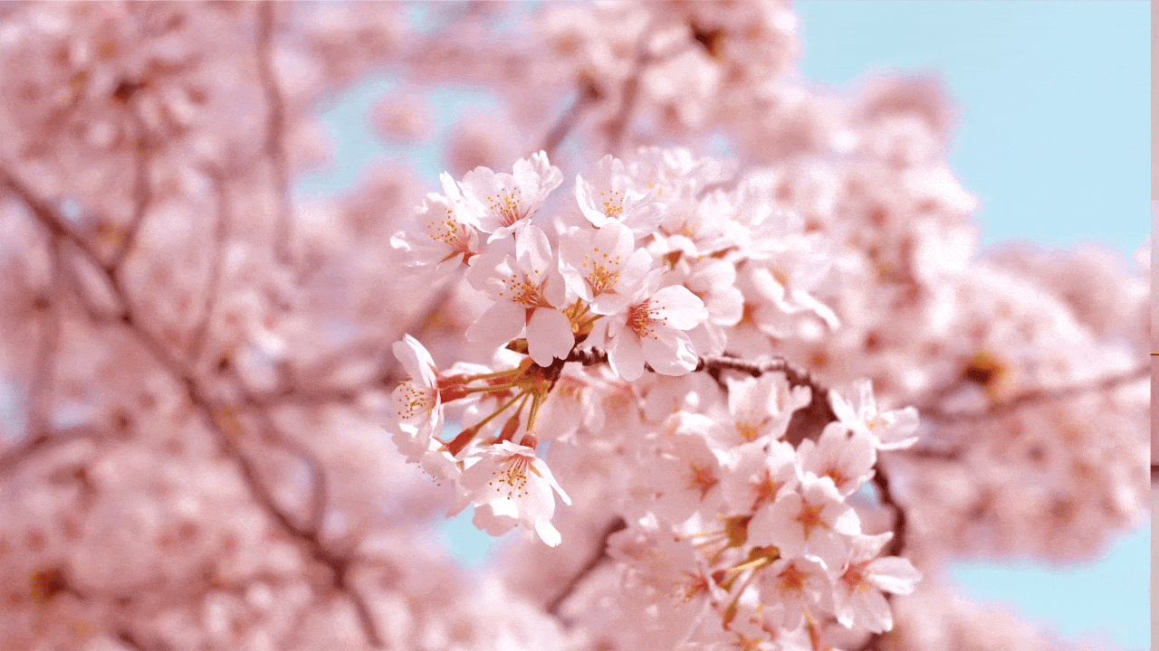 省狮原创|汉印科技,东方印刷科技的美学重塑 打印机(图ZNDAxODMyNzQ4) - 品牌 - 站酷设计师lionpro省狮品牌原创素材 - 站酷ZCOOL