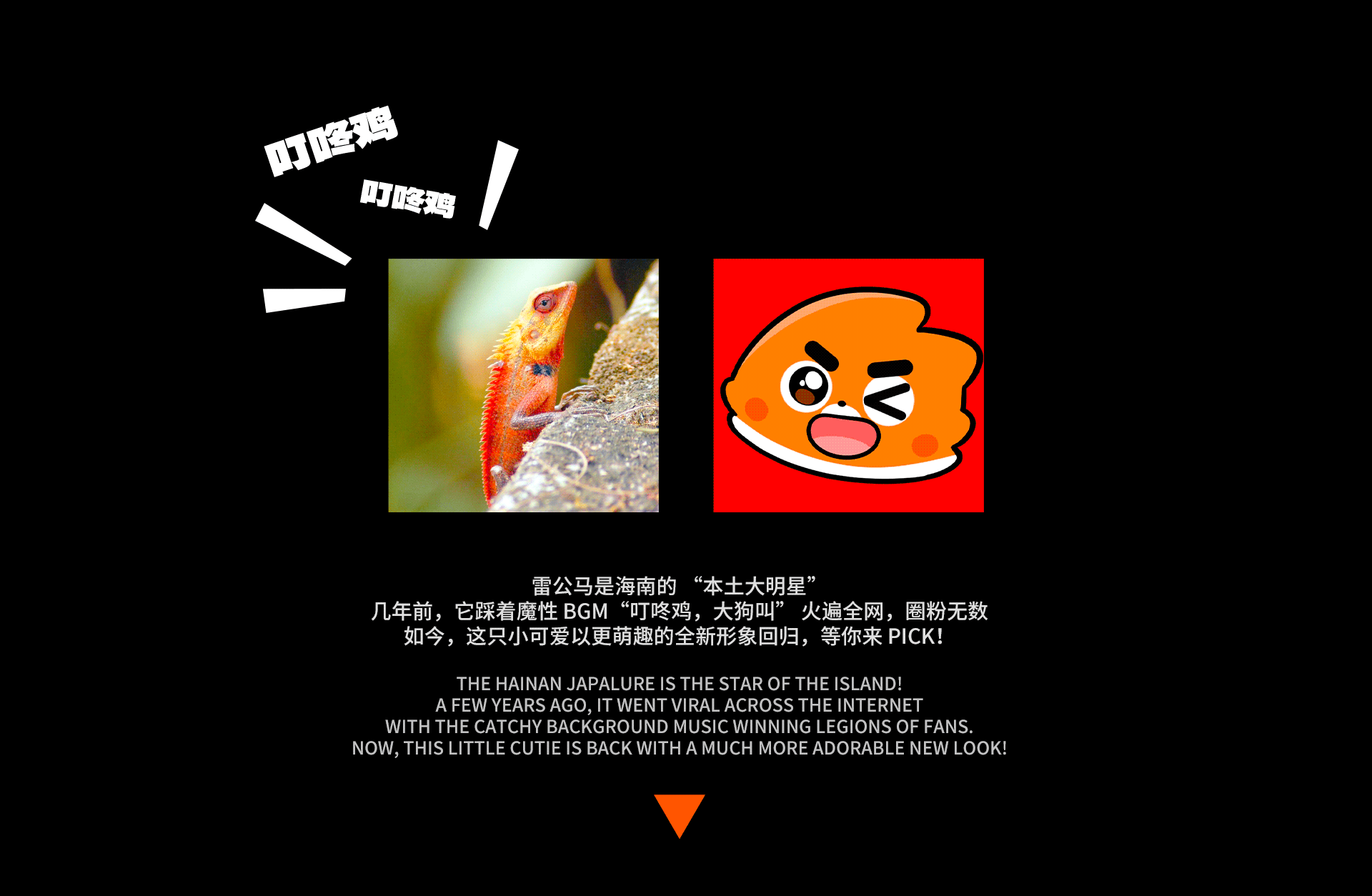 网络动态表情丨海南雷公马卡通IP形象 南南（图ZNDAxODQ3MjE2） - 网络表情 - 站酷设计师江浩大叔工作室原创素材 - 站酷ZCOOL
