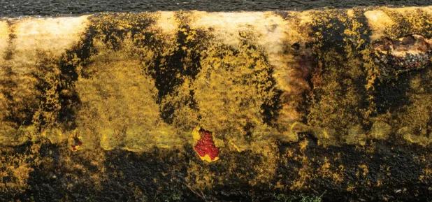 上海夏威夷抽象艺术交流展暨上海抽象画会成立二十五周年大展（图ZMTUzODY1NDg=） - 资讯 - 站酷设计师壹号观察原创素材 - 站酷ZCOOL